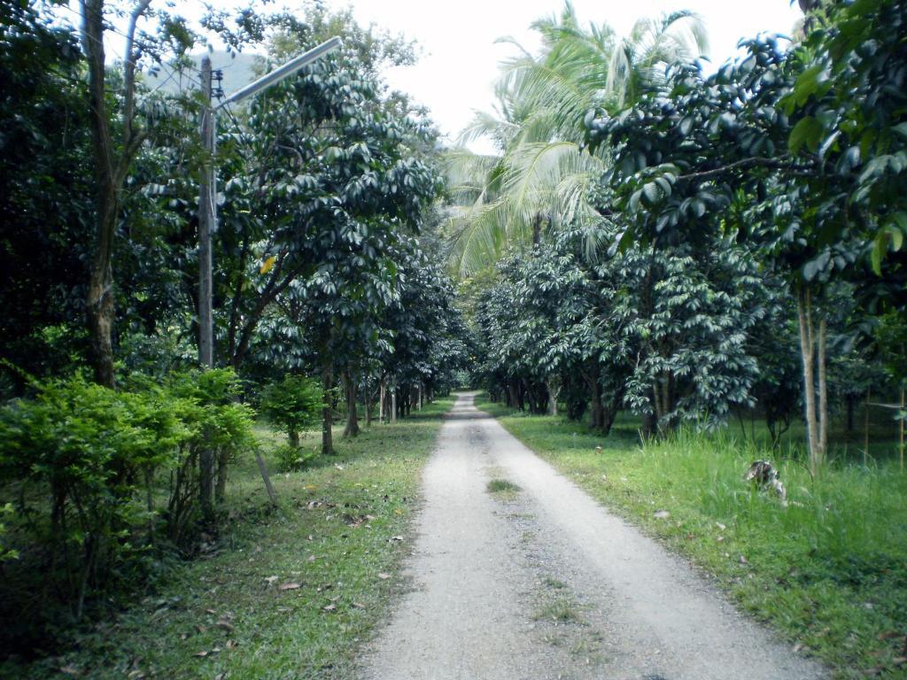 Khunnam Rimtarn Resort Mae Sai Exterior photo